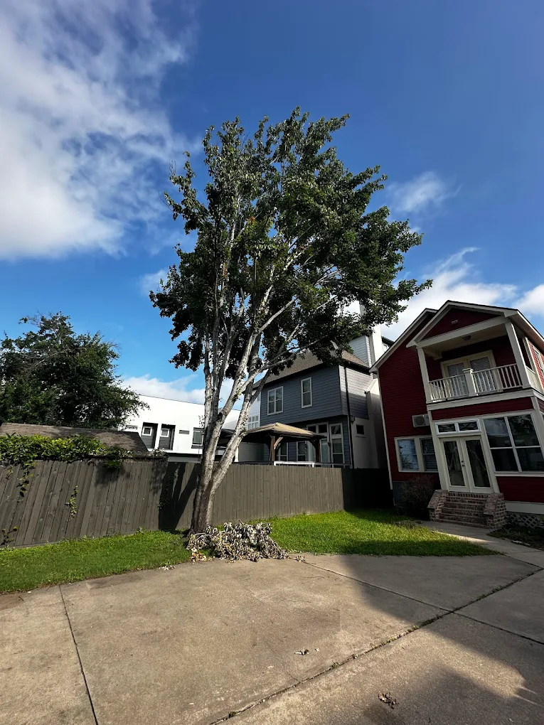 Residential Tree Service in Houston, TX by EZ Tree Service