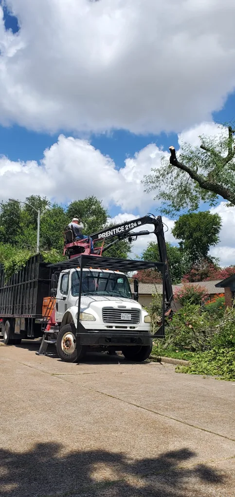 EZ Tree Service Houston crew with bucket truck