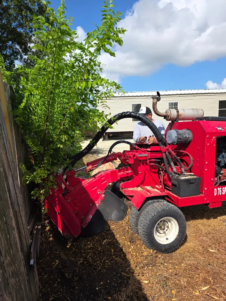 Stump Grinding in Houston, TX by EZ Tree Service