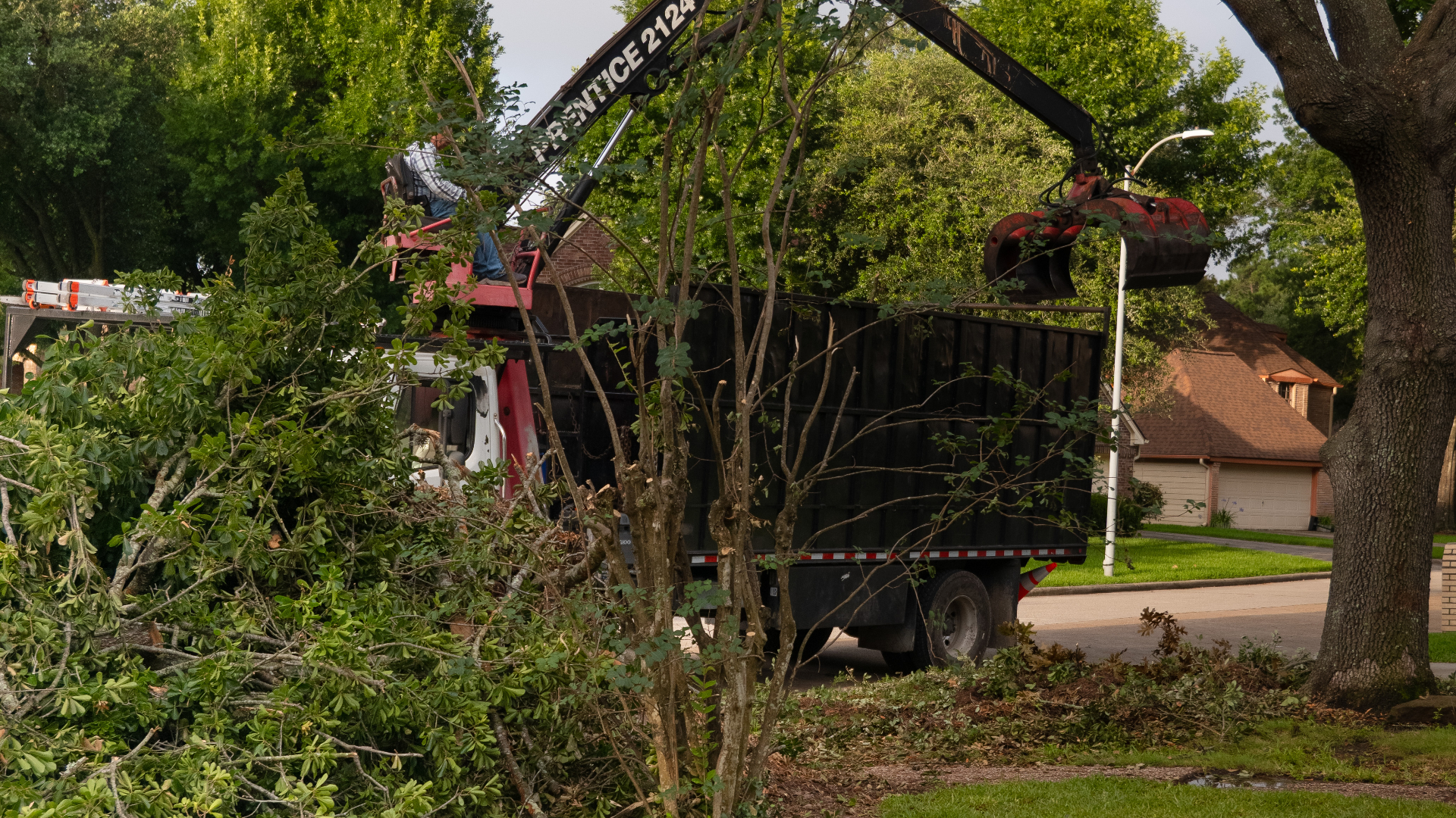 Houston tree service crew using a crane to remove a large oak near a residential home